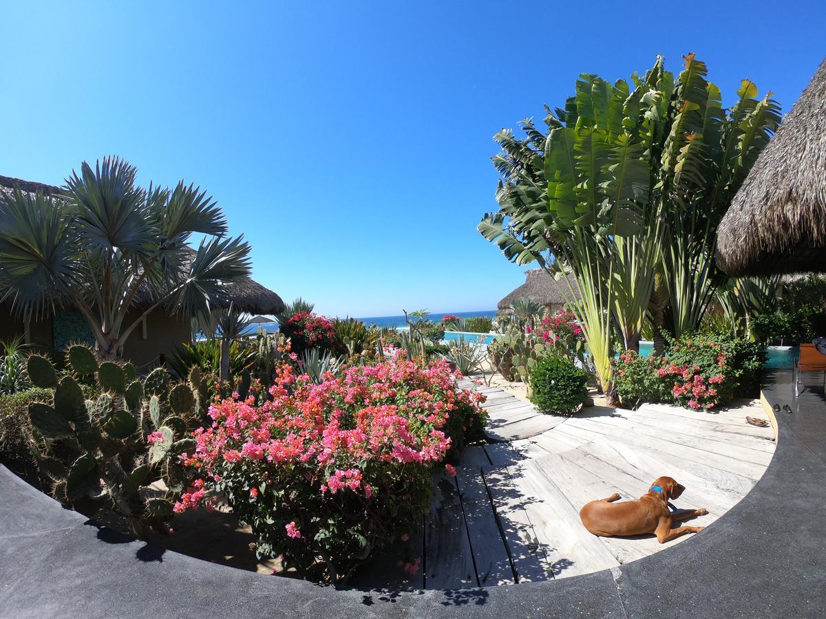 Samora Luxury Resort Santa María Colotepec エクステリア 写真